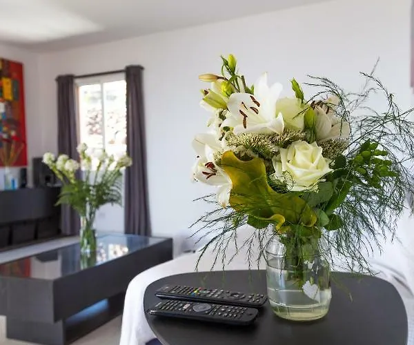 Puesta De Sol Tatil Evi El Paso